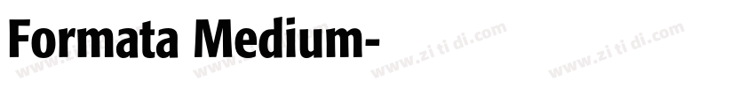 Formata Medium字体转换